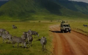 Read more about the article Containerized Mobile Incinerator Solutions for Refugee Camps in Tanzania